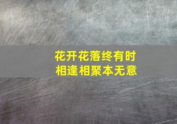 花开花落终有时 相逢相聚本无意